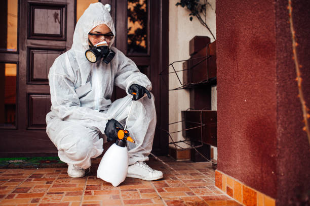Attic and Crawl Space Rodent Treatment in Clay